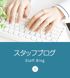 スタッフブログ